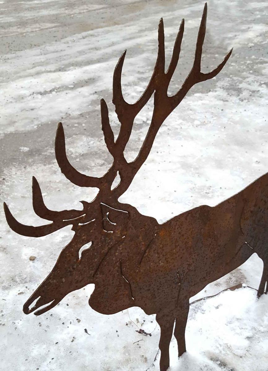 Hirsch